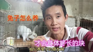 很多新手养兔的误区，喂养兔子吃多少最好，兔子身体好长的块