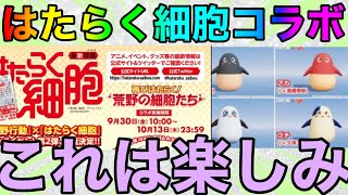 【荒野行動】はたらく細胞コラボ確定！！これは嬉しいww