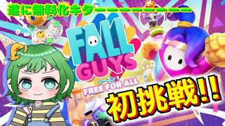 【EPIC】初めてのFall Guys【フォールガイズ】