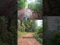 കേരളത്തിലെ ഏറ്റവും അപകടം നിറഞ്ഞ വനപാത 🐘💚 the most dangerous forest route in kerala 🐘💚