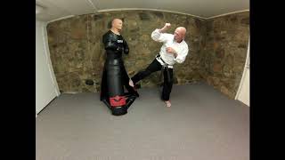 American Combato | Lesson #7 | The Side Kick, Chin-Jab Attack Combination