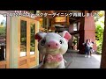 【アメリカ】ディズニーリゾート全体＆周辺おすすめスポット🎵　プアとリゾートさんぽ🐷💕（アナハイム）