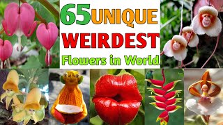 65 World's Weirdest and Unique Flowers | Unique Flower Plant| strangest flowers| Plant and Planting