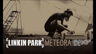 Linkin Park Unboxing Vinyl Meteora