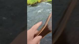 S137_KFT千夜釣行_ 那珂川水系　Wet Fly Fishing