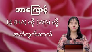 ဘာကြောင့် は (ha) ကို (Wa) လို့ အသံထွက်တာလဲ နှင့် အမေးများသောမေးခွန်းများ (Beginner Level)