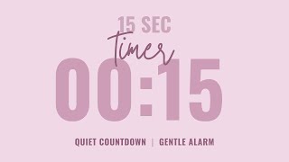 ⌛ 15 Second Quiet Countdown Timer ⏰ Gentle Alarm 💗 Aesthetic Pastel Pink
