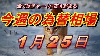 【FX】ドル、円、ユーロ、ポンド、豪ドルの為替相場の予想と前日の動きをチャートから解説。1月25日