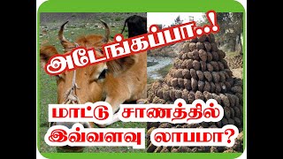 அட மாட்டு சாணி BUSINESS || COW DUNG || PROFFIT || EASY JOB || EXTRA INCOME || COW SHIT || FESTIVAL |