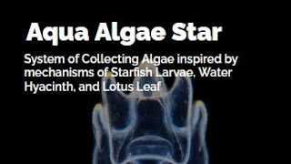Aqua Algae Star | Sustainable Algae Collection System