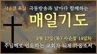 [매일기도] 3월 17일. 사순절 14일차. 주님께로 인도하는 교회가 되게 하옵소서.