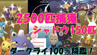 ✨ダークライ100％降臨✨2500匹捕獲 ロケット団150戦 ハロウィンイベント🎃