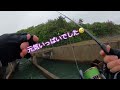 釣りママ日記vol.207碧南海釣り公園 u0026西尾市