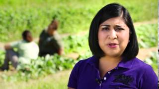 EPA’s Revised Worker Protection Standard: Thoughts from a Former Farmworker Clip