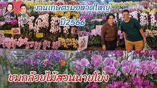 #งานเกษตรมอหาดใหญ่ จ.สงขลา ปี2566 ชมความสวยงามของ#กล้วยไม้ 💐สวนนายโย่งกาญจนบุรี