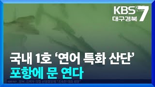 국내 1호 ‘연어 특화 산단’ 포항에 문 연다 / KBS  2025.01.09.