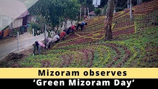 Mizoram observes ‘Green Mizoram Day’