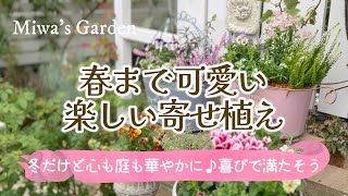 【ガーデニング🌺パンジービオラの寄せ植え】春まで次々と花を咲かせてくれる・冬の寄せ植えづくり/おしゃれな庭づくり