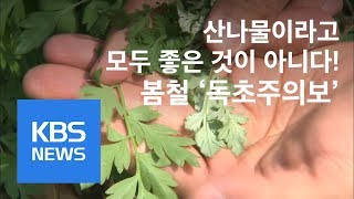 산나물 먹고 응급실…‘독초주의보’ / KBS뉴스(News)