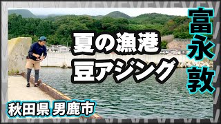 夏らしい豆アジ攻略＆トミー流キャンプを楽しむ！ 1/2 『Azing lab.2nd 37 富永 敦×初めての東北で悶絶アジング＆キャンプ』イントロver.【釣りビジョン】その①