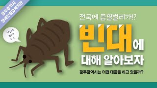 [수어]광주광역시 빈대 확산 방지