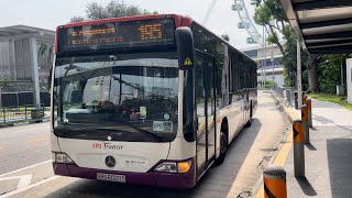 SBS Transit Bus Service 195 SBS6020D Mercedes-Benz O530 Citaro(Batch 1)