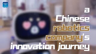 From local to global: a Chinese robotics company's innovation journey