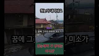 첫눈이 내리고/눈이 내리네/김추자