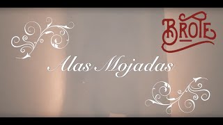 BROTE   ALAS MOJADAS  VIDEOCLIP OFICIAL