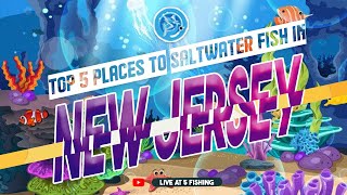 Top 5 Places to Saltwater Fish in New Jersey