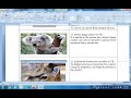 Visual Basic 6.0   Combo box , List Box Control Image Control, OLE Control, Picture Box control