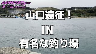 279話【注目！】ポイント到着しました！新エギの真価発揮できるか！？まさかの結果に。。。！