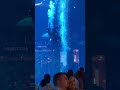 dubai ദുബായ് അക്വേറിയം dubai aquarium