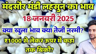 मंदसौर मंडी आज का लहसून का भाव 18 जनवरी 2025 | Lahsun ka bhav | garlic rate | #mandsaur_mandi_bhav