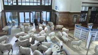thetrainline.com sheep ad mobile app