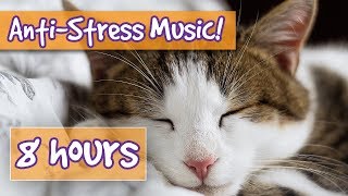 Songs For Nervous Cats Soothing Music To Calm Your Hyperactive Anxious Cat And Help With Sleep 🐈