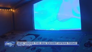 Onslow County Museum debuts new children's exhibit