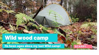 Wild Wood Camp!