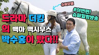 드라마 더킹의 백마! 맥시무스~ 경마 기수출신 박수홍이 타봤다! #말슈 #킴스승마클럽