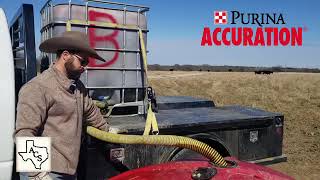 7 Benefits of Purina Accuration Liquid Feed