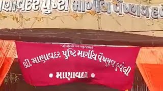 શ્રી વલ્લભાચાર્ય મહાપ્રભુજી પ્રાગટ્ય મહોત્સવ - માણાવદર વૈશ્નવ હવેલી ૫૧ બળદ નો રથઅલૌકિક ઝાંખી દર્શન..