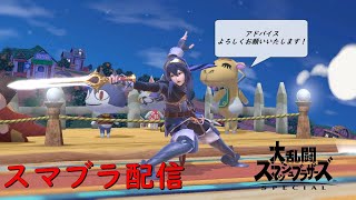 【スマブラSP】ルキナスマメイト