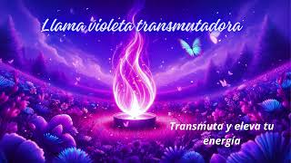 Llama Violeta transmutadora 💜/ Transmuta y eleva tu energía positiva con esta canción 🎶