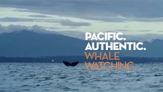 Richmond BC. Pacific. Authentic. Whale Watching