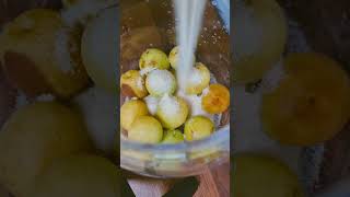 Making Korean plum wine  #korea #cooking #maesil