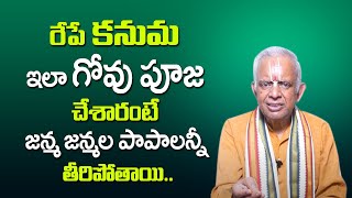 Kanuma Pandaga Gow-Pooja Effects Explained in Telugu || TKV Raghavan about Kanuman Pooja Vidhanam