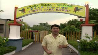 Firefly Park Resort Kuala Selangor Malaysia by Asiatravelcom