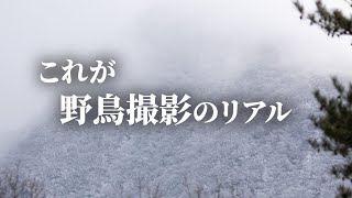 野鳥がいない時に絶対見つけるべきは〇〇です《SONY α6700》