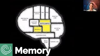 DON'T FORGET! - The Science of Memory