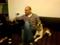 dog sings lady gaga